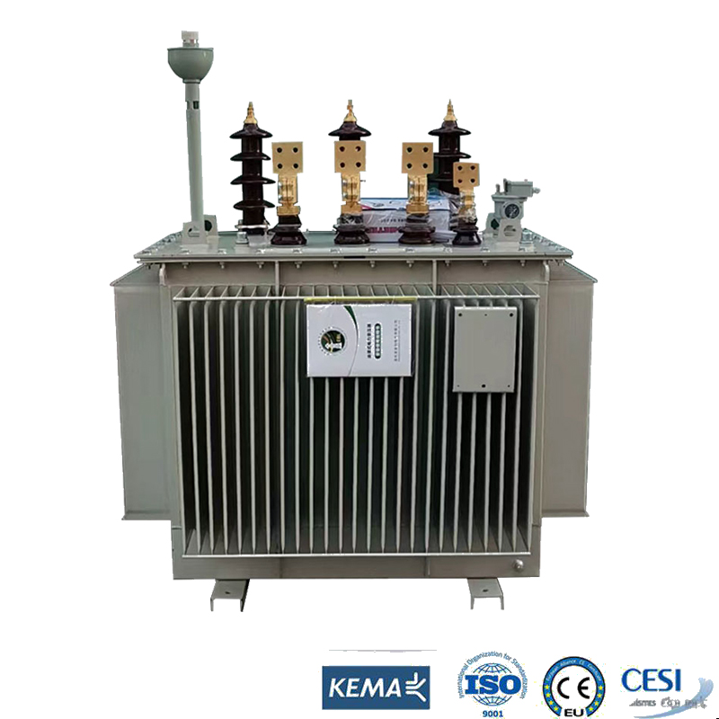 oil immersed transformer